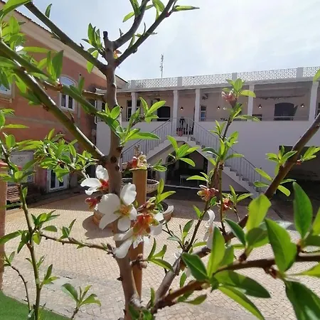 Villa Casa Amendoeiras *